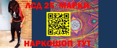 индика Донской