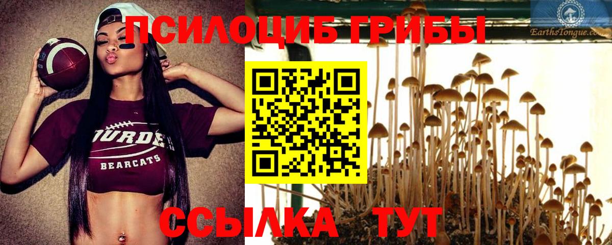 Галлюциногенные грибы прущие грибы Лысьва